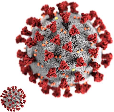 FC Seibelsdorf – Vereinsbild
